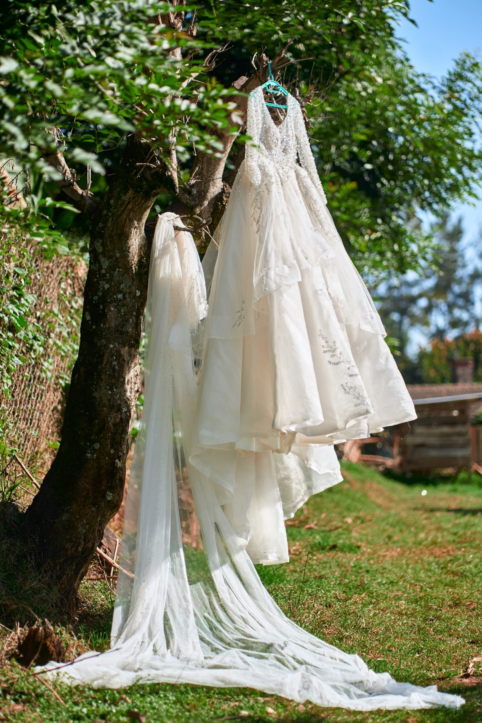 summer wedding guest dress